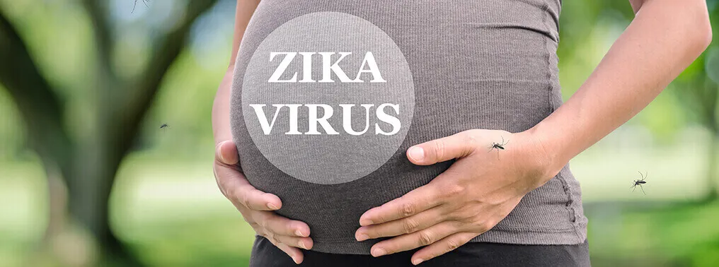 Zika - A risk to pregnant women 
