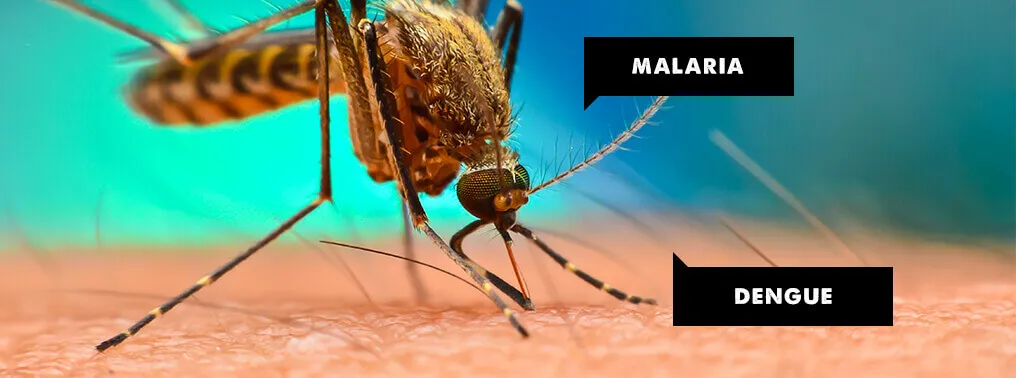 COMMON SYMPTOMS BETWEEN MALARIA AND DENGUE 