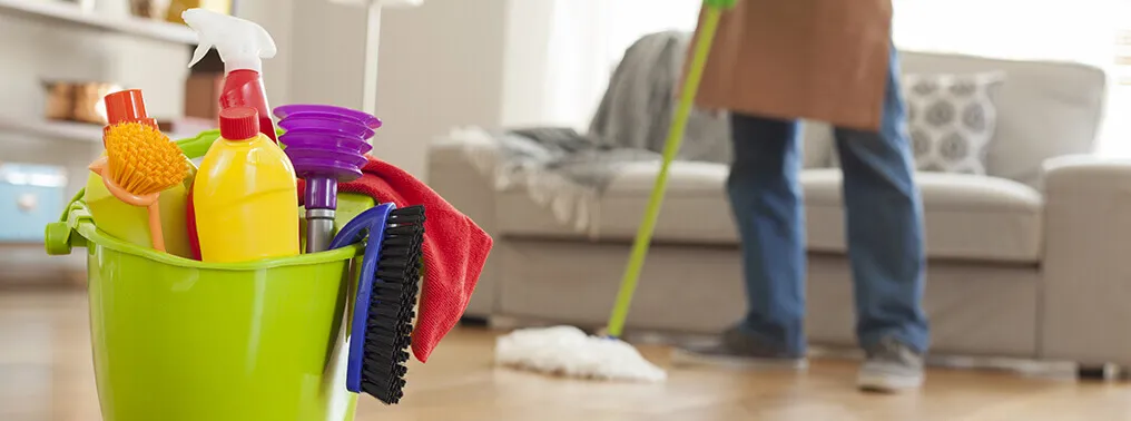 HOW TO CLEAN YOUR LIVING ROOM PROPERLY - House Cleaning Tips 