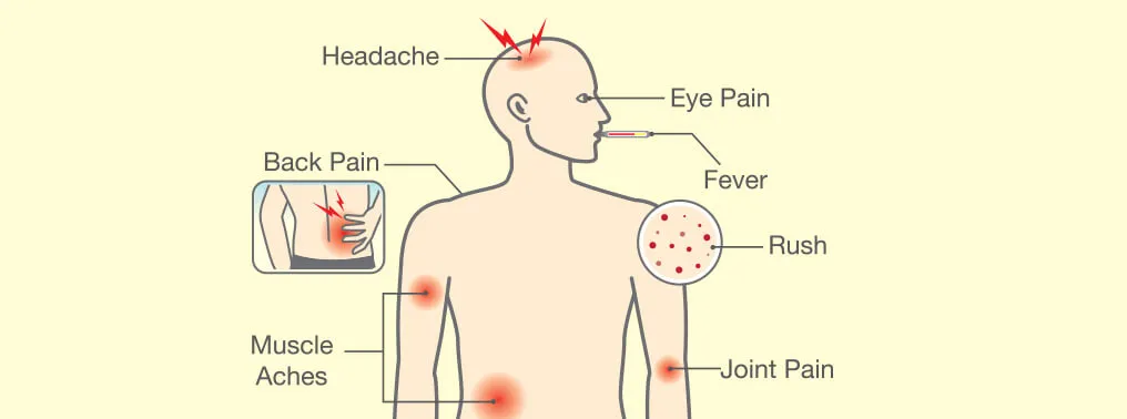 Malaria Malady: Causes and Symptoms of Malaria & Tips to Tackle It 